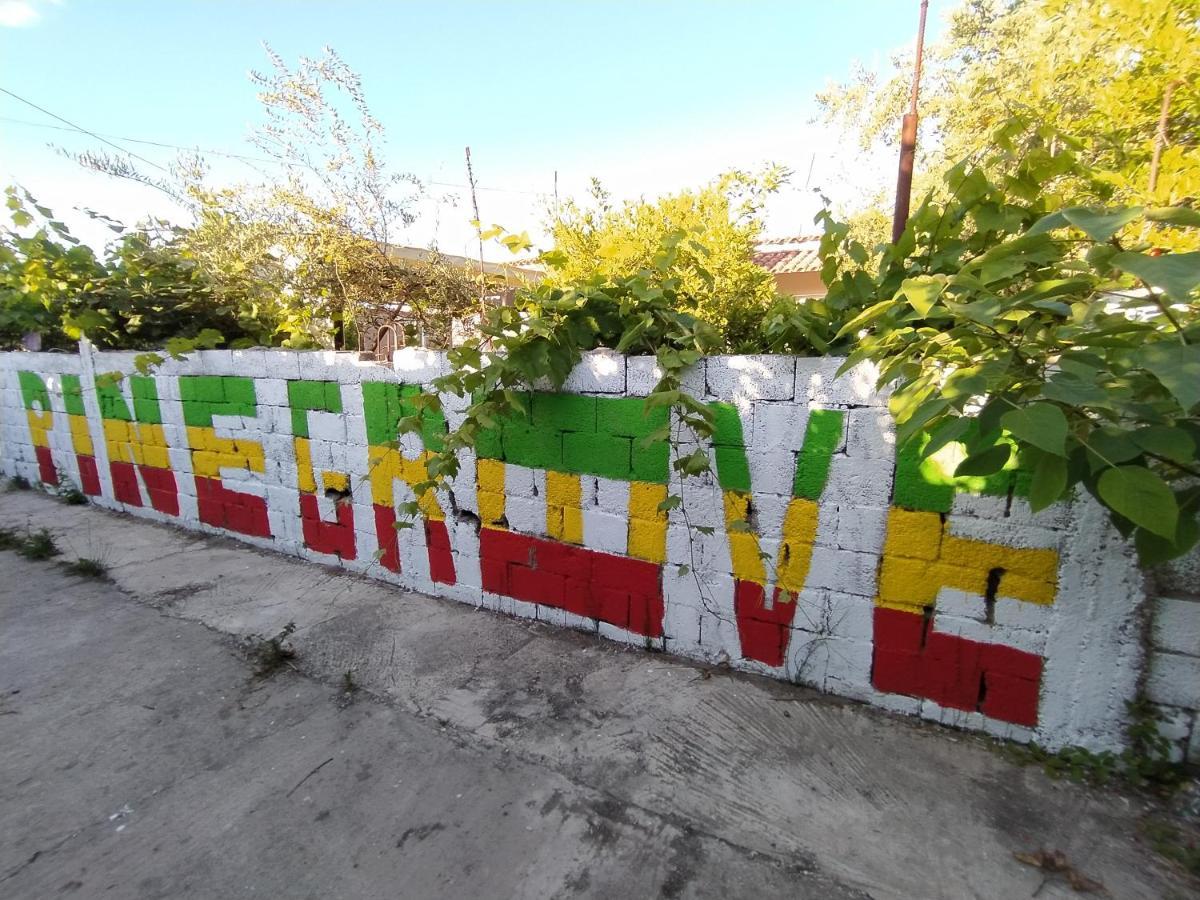 Pinegroove Hostel Vlora Eksteriør billede