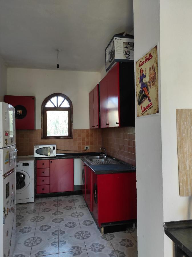 Pinegroove Hostel Vlora Eksteriør billede