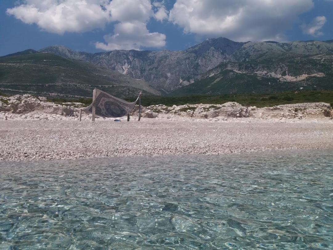 Pinegroove Hostel Vlora Eksteriør billede