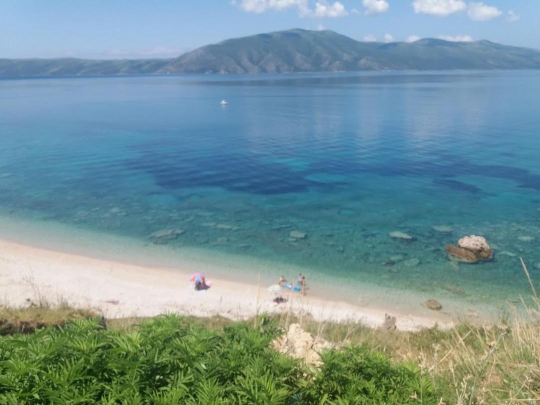 Pinegroove Hostel Vlora Eksteriør billede