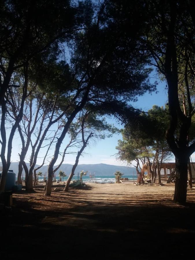 Pinegroove Hostel Vlora Eksteriør billede