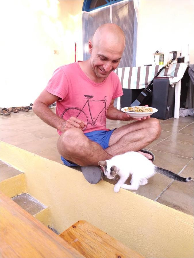 Pinegroove Hostel Vlora Eksteriør billede